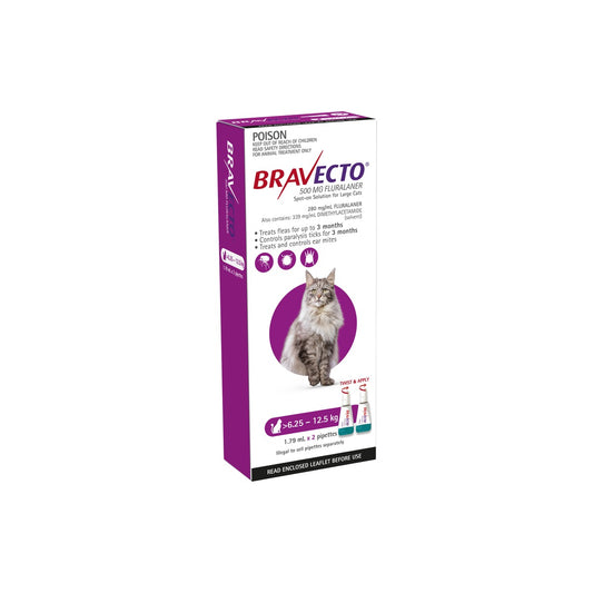 Bravecto Spot On Cat Large 13.7-27.5lbs Purple – front of pack – front of pack