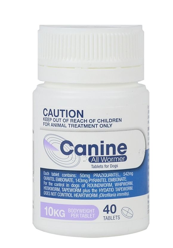 White bottle of Canine All Wormer Tablets for Dogs 10kg, 40 tablets, with purple and blue label.