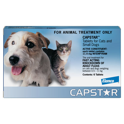 Blue Capstar flea tablets box for small cats and dogs, featuring a terrier and a tabby cat.