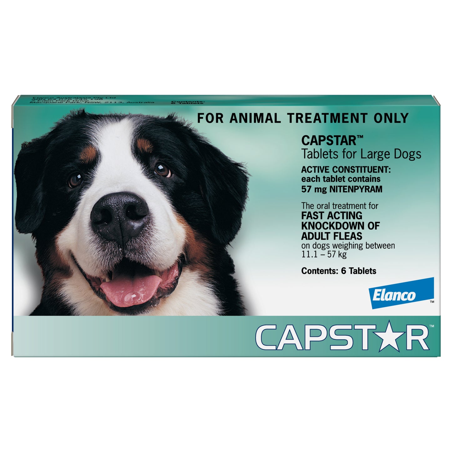 Green Capstar flea tablets box for large dogs (11.1-57kg) with a happy Bernese Mountain Dog.
