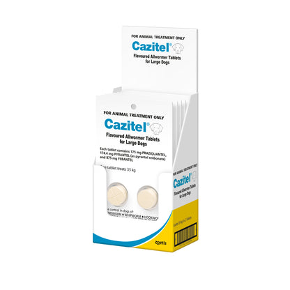 White display box of Cazitel Flavoured Allwormer Tablets for Large Dogs, showing individual packs and two beige tablets.