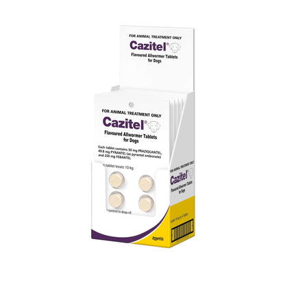 White display box of Cazitel Flavoured Allwormer Tablets for Dogs, showing individual blister packs.