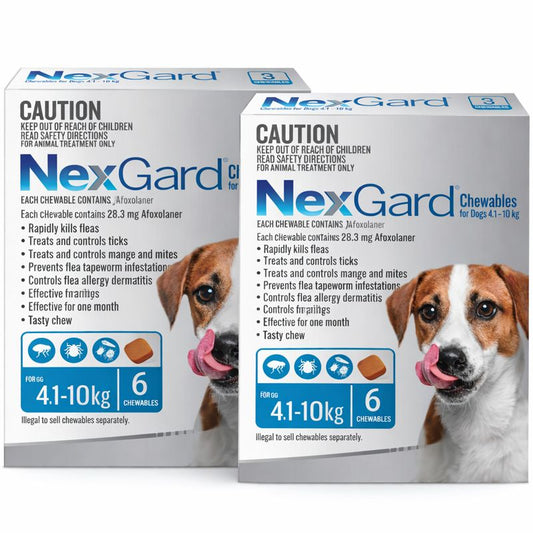 NexGard Chewables for Small Dogs (10.1–24 lbs) – Blue 12 Chews