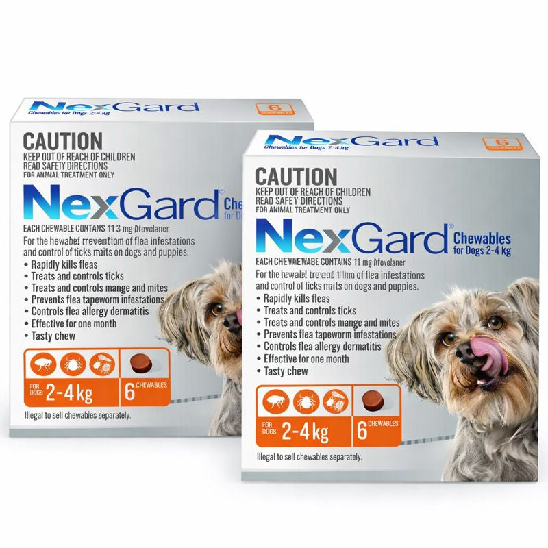 NexGard Chewables for Extra Small Dogs (4–10 lbs) – Orange