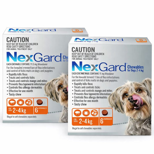 NexGard Chewables for Extra Small Dogs (4–10 lbs) – Orange 12 Chews