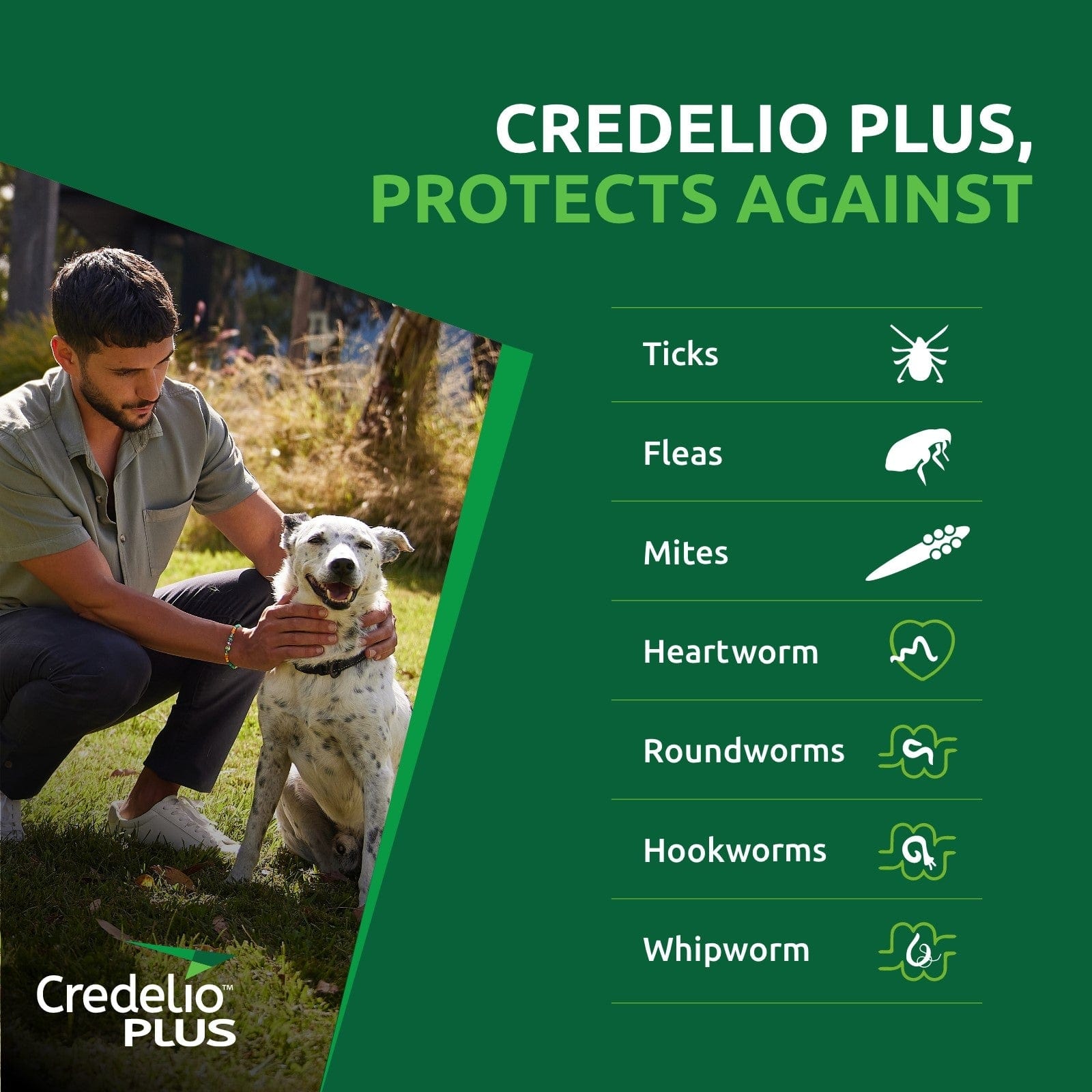 Credelio Dog Health Credelio™ PLUS  Green For Large Dogs 11-22 kg