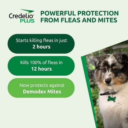 Credelio Dog Health Credelio™ PLUS  Green For Large Dogs 11-22 kg