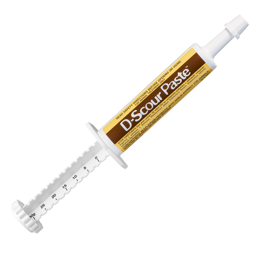 White D-Scour Paste 30g syringe with brown and yellow label, angled view.