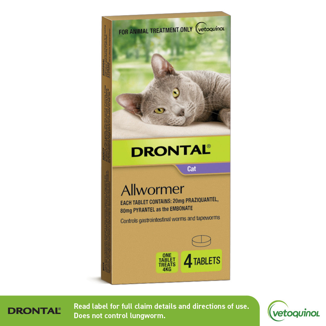 Drontal Allwormer for Cats 8.8lbs (4kg) box with a grey cat on the front, containing 4 tablets.