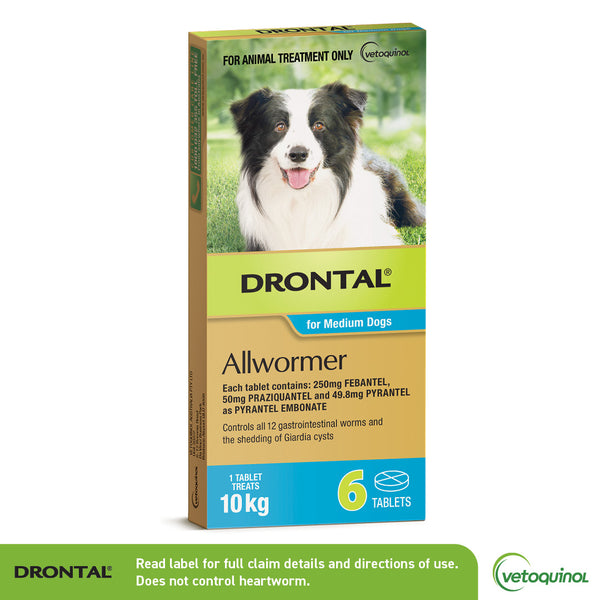 Drontal Allwormer for Medium Dogs 10kg box with a happy Border Collie.