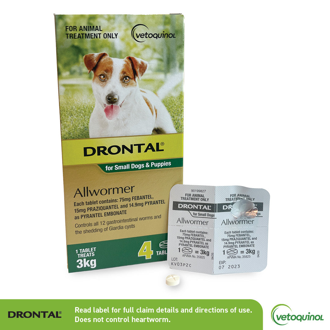 Drontal Allwormer for Small Dogs & Puppies box with a Jack Russell, showing 4 tablets for 3kg dogs.