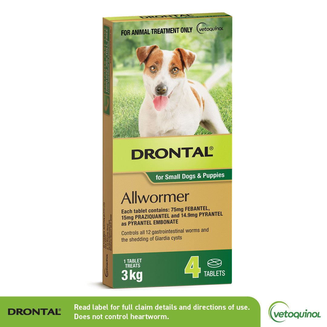 Drontal Allwormer for Small Dogs & Puppies, 4 tablets in a brown and green box with a Jack Russell.