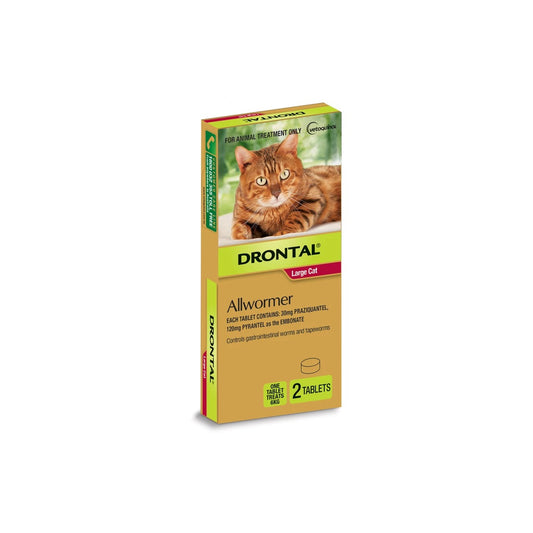 Drontal Allwormer for Large Cats Up to 13.2lbs 6kg – front of pack – front of pack