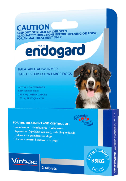 Blue Endogard allwormer box for extra large dogs (35kg) with a Bernese Mountain Dog.