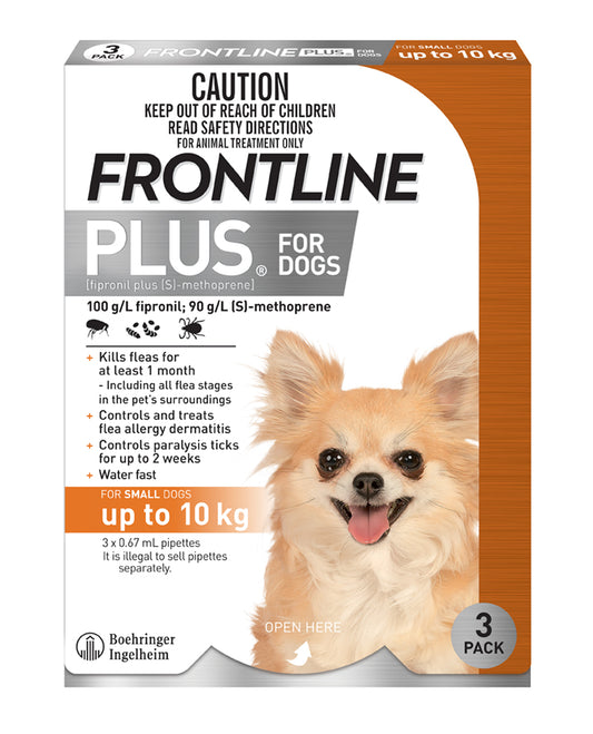 Frontline Plus for Dogs orange and white 3-pack box with a small, fluffy chihuahua.