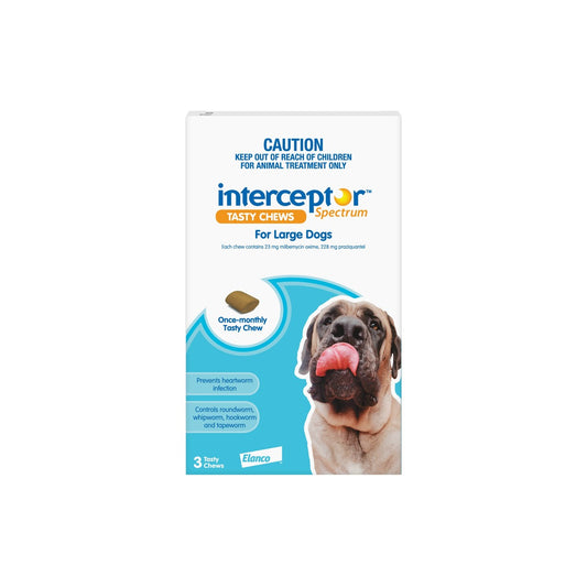 Interceptor Spectrum Chewables for Large Dogs 44-99 lbs 20-45 kg Blue – front of pack – front of pack