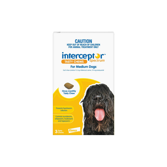 Interceptor Spectrum Chewables for Medium Dogs 22-44 lbs 10-20 kg Yellow – front of pack – front of pack