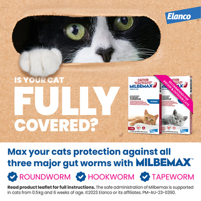 Black and white cat peeking from a cardboard box, next to two Milbemax allwormer boxes for cats.