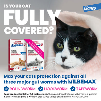 Milbemax Allwormer for cats, showing two red and white boxes for different cat weights, next to a black and white cat wrapped in a pink blanket.