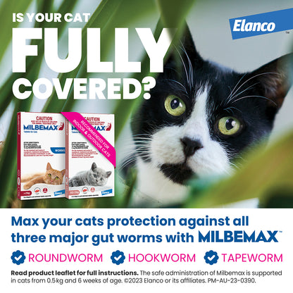 Milbemax Allwormer cat small 1.1-4.4lbs 2pk, with two boxes and a black and white cat.