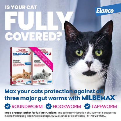 Black and white cat with green eyes next to two red Milbemax cat allwormer boxes for small cats.
