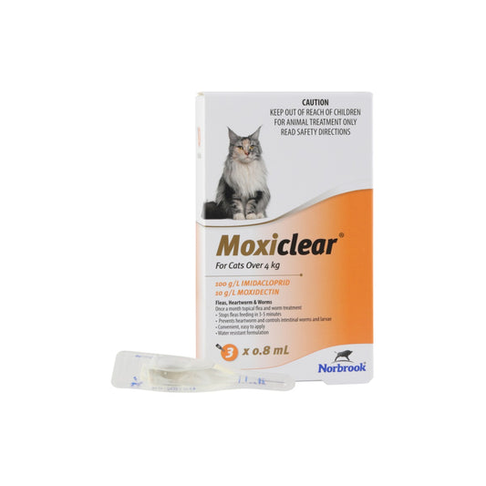 Moxiclear Spot On For Cats Over 8.8 lbs Orange – front of pack – front of pack