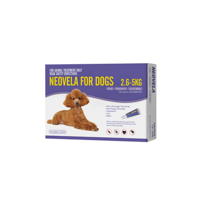 Neovela for Dogs 2.6-5kg purple box with a brown poodle and 4 small tubes.
