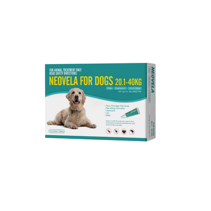 Neovela for XLarge Dogs 20.1-40kg green 4-pack box with a golden retriever and product details.