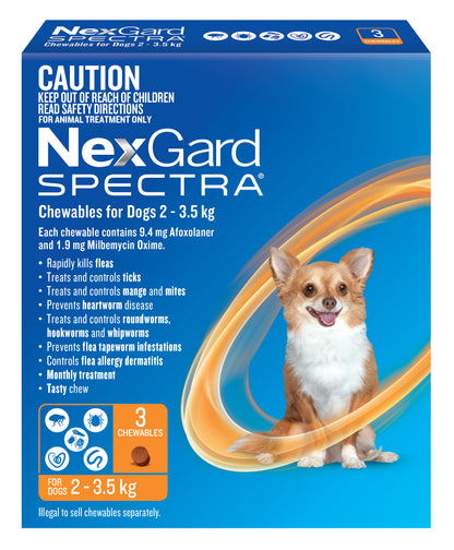 NexGard Spectra orange box for extra small dogs 2-3.5 kg, with a happy chihuahua.