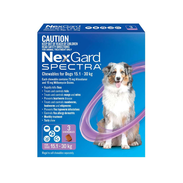 NexGard Spectra chewable for large dogs 33.1-66.1 lbs, purple pack flea tick worm protection
