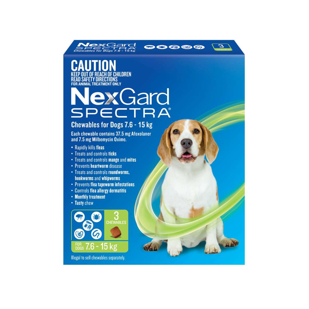 Blue NexGard Spectra box for medium dogs (7.6-15kg) with a beagle, showing 3 chewables.