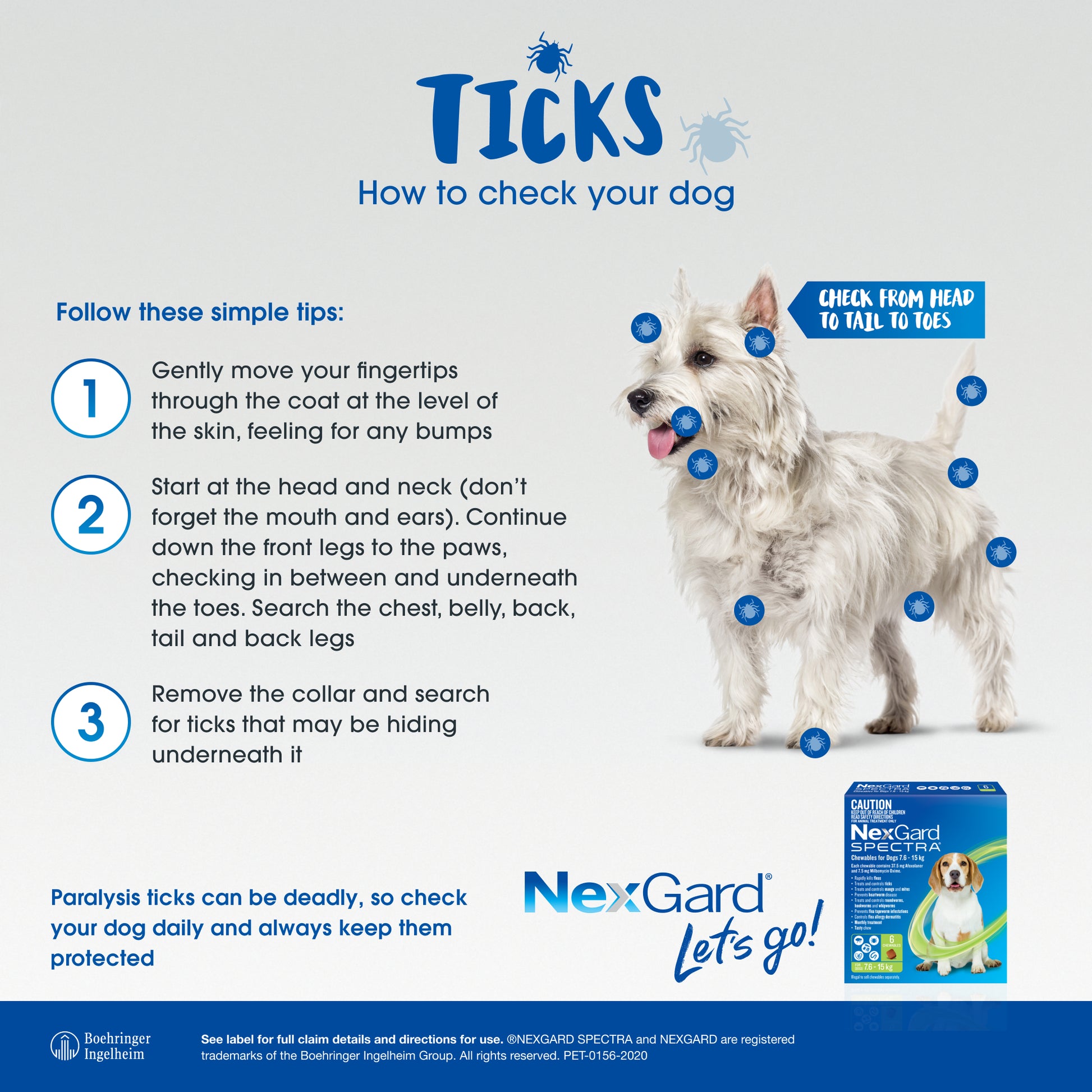 White dog with blue tick circles, NexGard Spectra box, and tick check instructions.