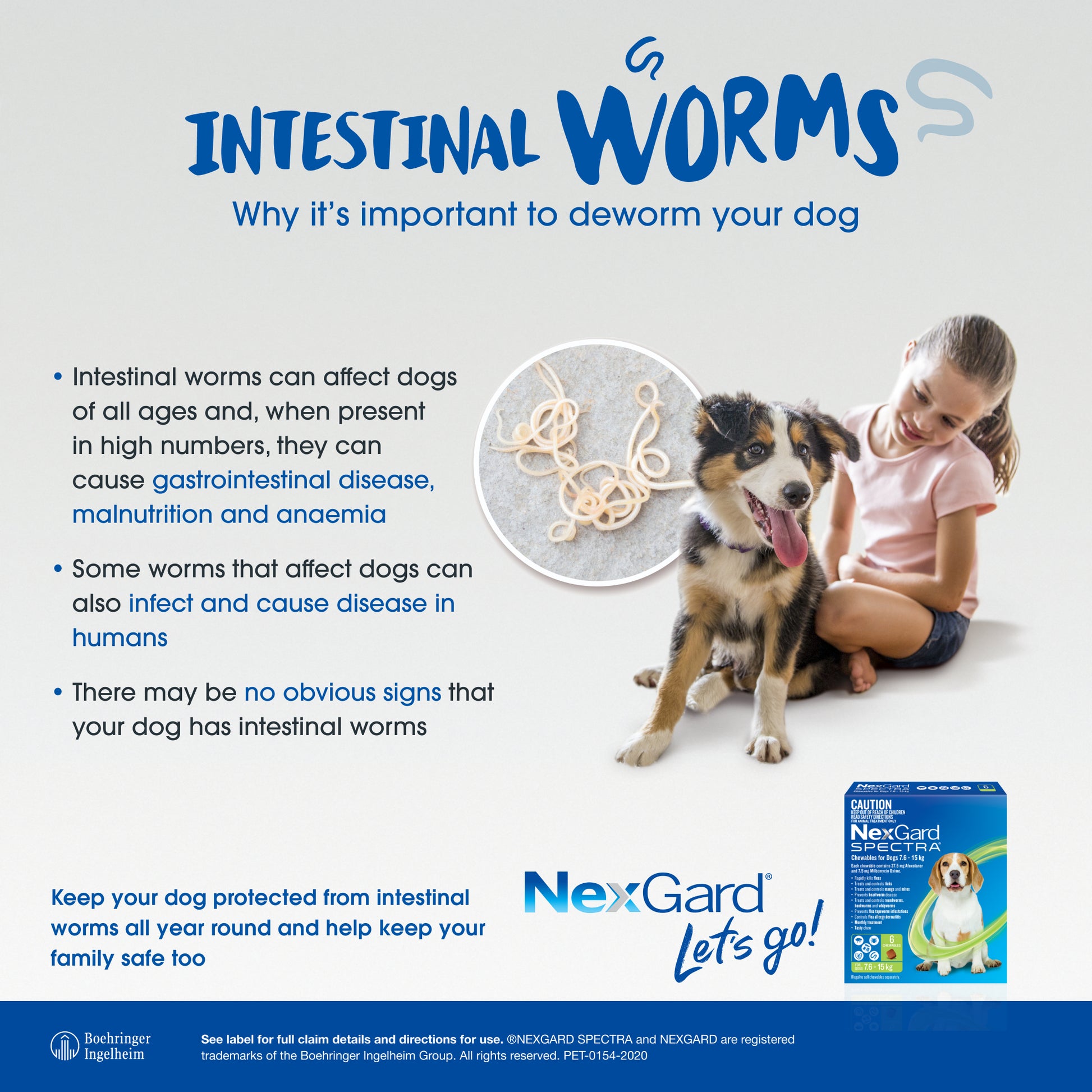 Girl with a small dog, NexGard Spectra box, and an inset of intestinal worms.
