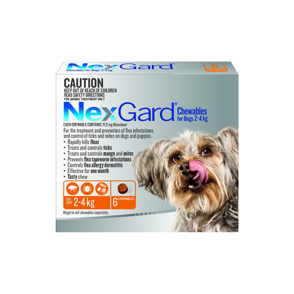 NexGard Chewables for Extra Small Dogs 4-10 lbs 2-4 kg - Orange – front of pack – front of pack