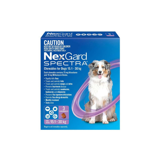 NexGard Spectra Chewables for Large Dogs 33.1-66.1 lbs 15.1-30 kg - Purple – front of pack – front of pack