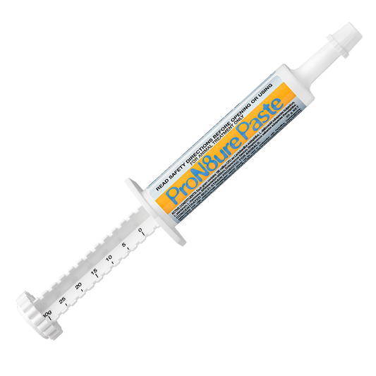 White 30g ProN8ure Paste syringe with orange and blue label, angled view.