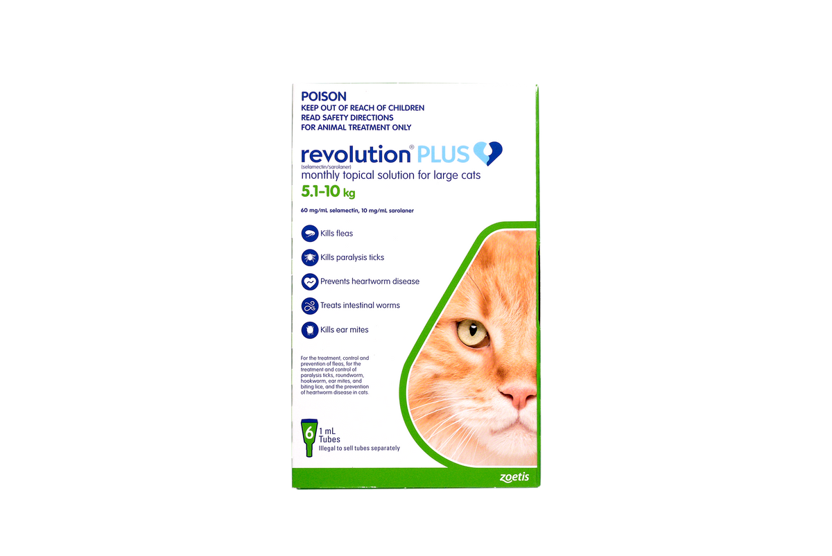 Revolution Plus topical solution for large cats 11.1-22 lbs, green box packaging