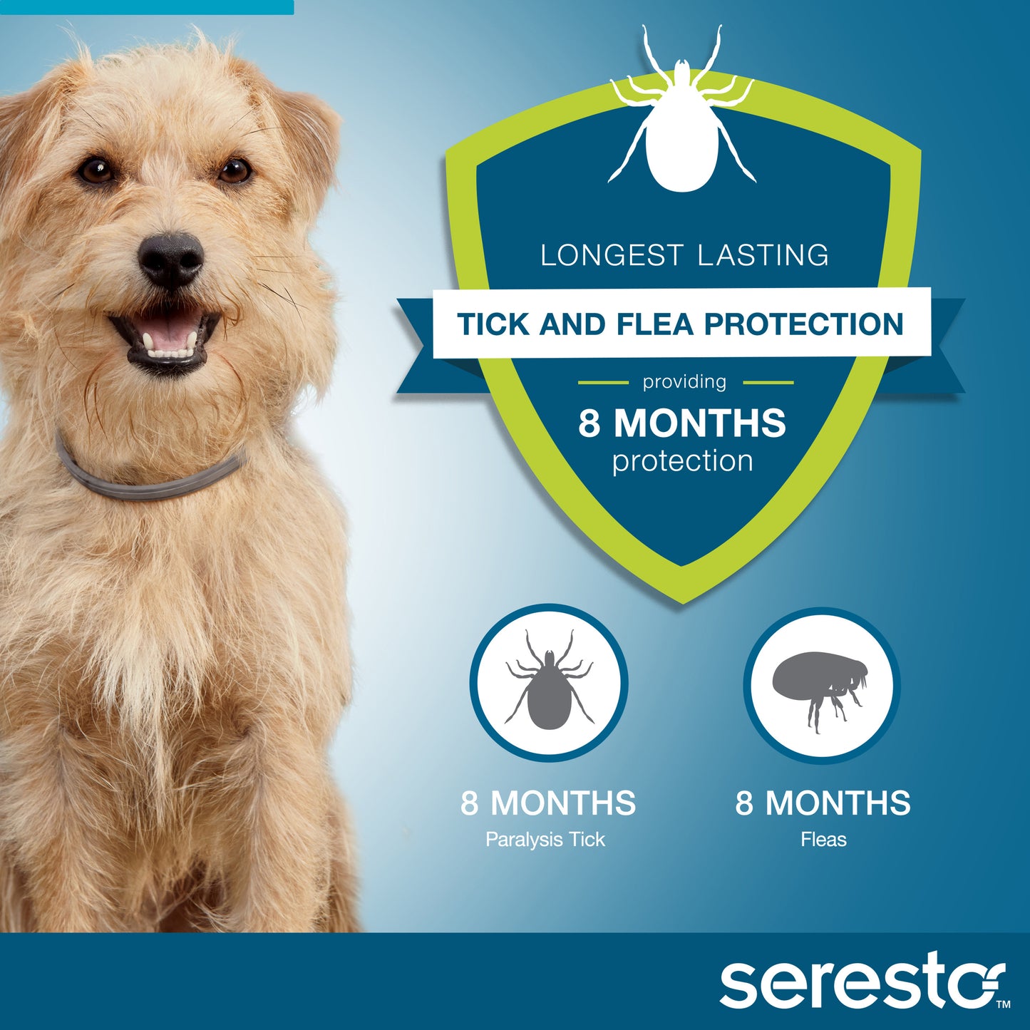 Happy dog wearing a grey Seresto collar, next to a graphic highlighting 8 months of tick and flea protection.