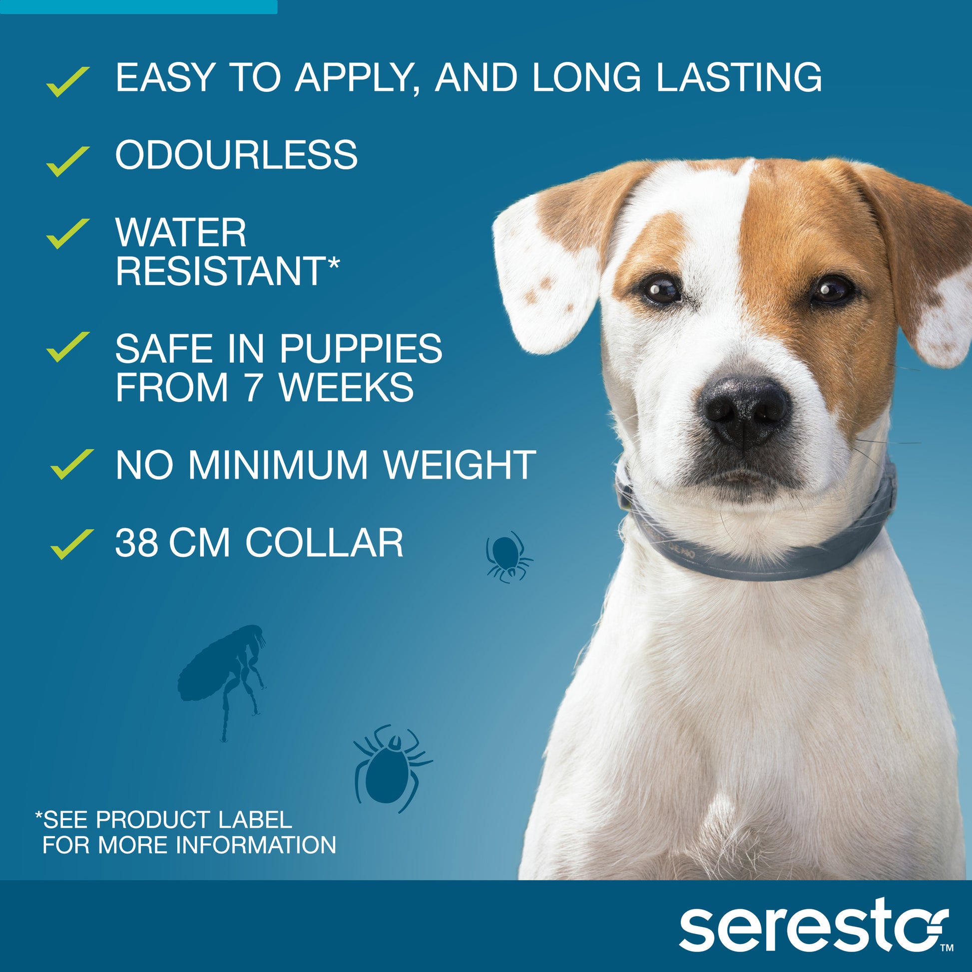 White and brown dog wearing a blue Seresto collar, with product features listed on a blue background.