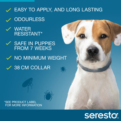 White and brown dog wearing a blue Seresto collar, with product features listed on a blue background.