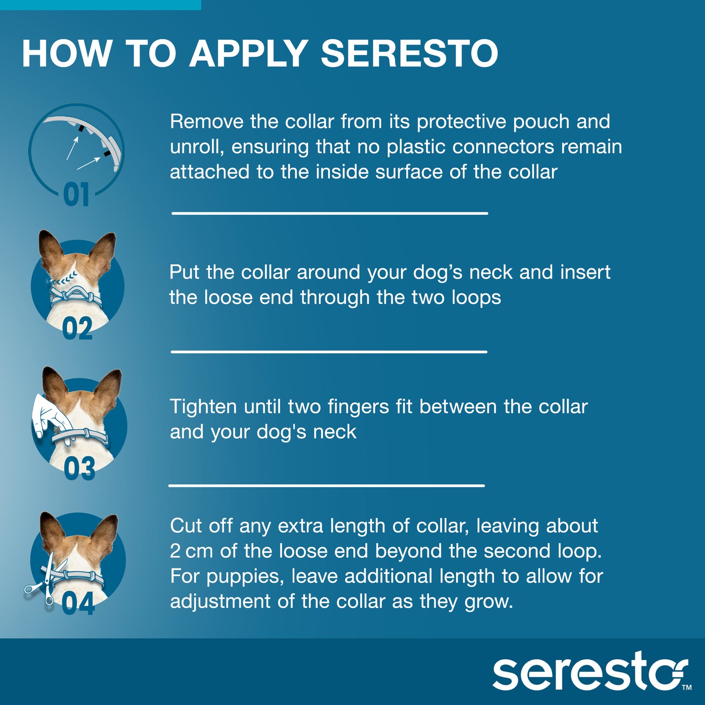 Instructions for applying a Seresto blue collar on a dog, showing four steps with illustrations.