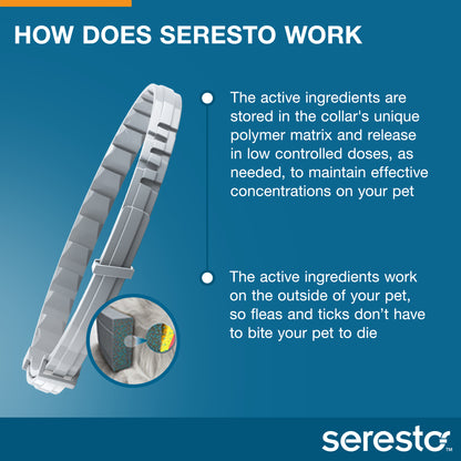 Seresto flea collar for cats and kittens, safe long-lasting treatment