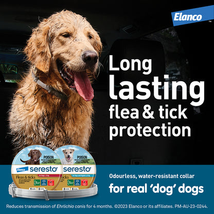 Wet golden retriever wearing a Seresto flea and tick collar, with two product packages.