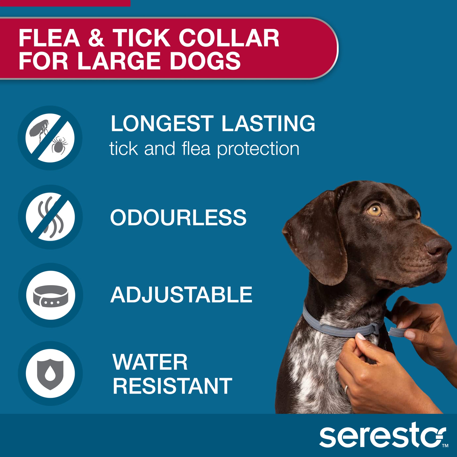 Seresto flea and tick protection collar for big dogs, product features graphic