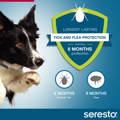 Seresto collar infographic showing 8 months flea and tick prevention
