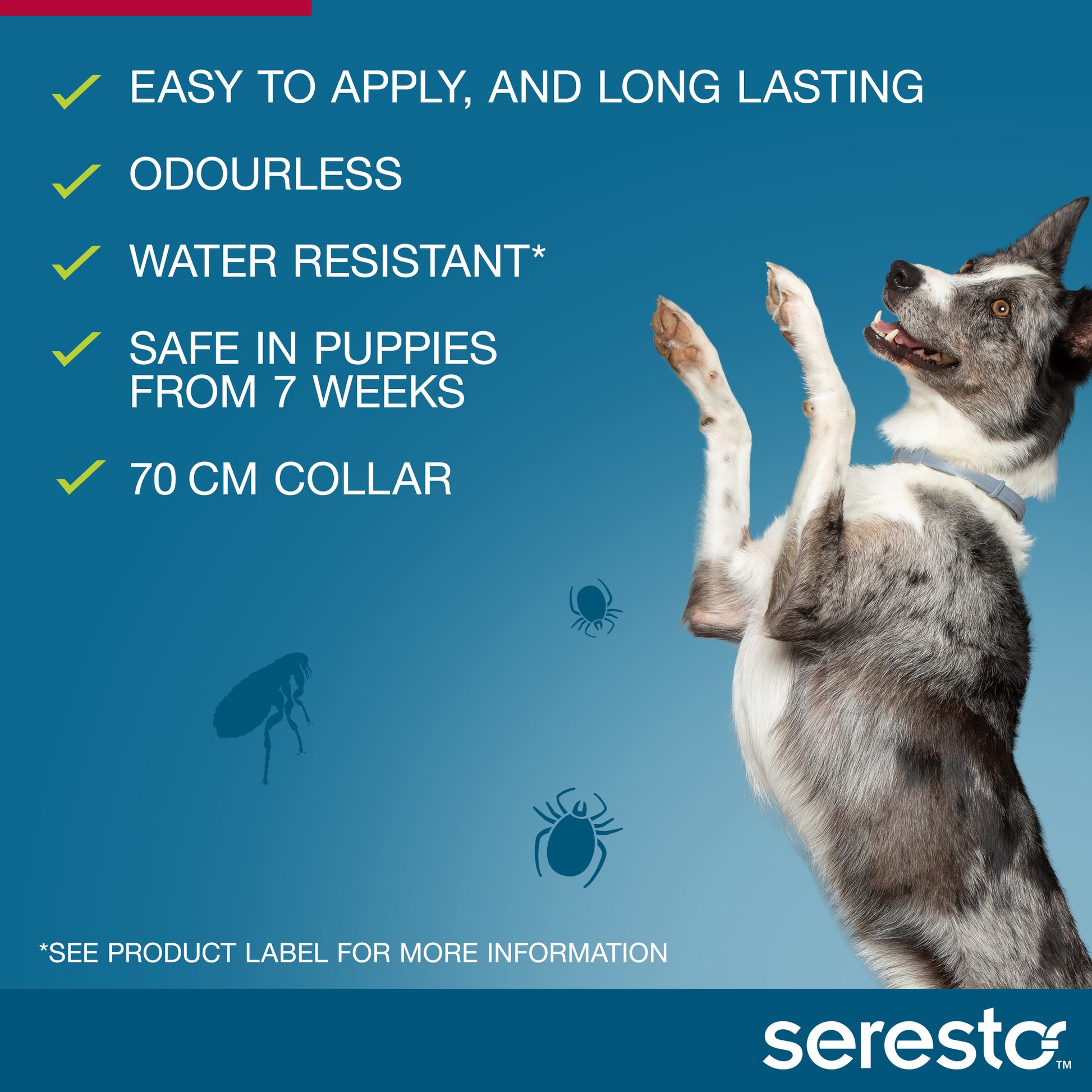 Seresto flea and tick collar for large dogs, water-resistant design