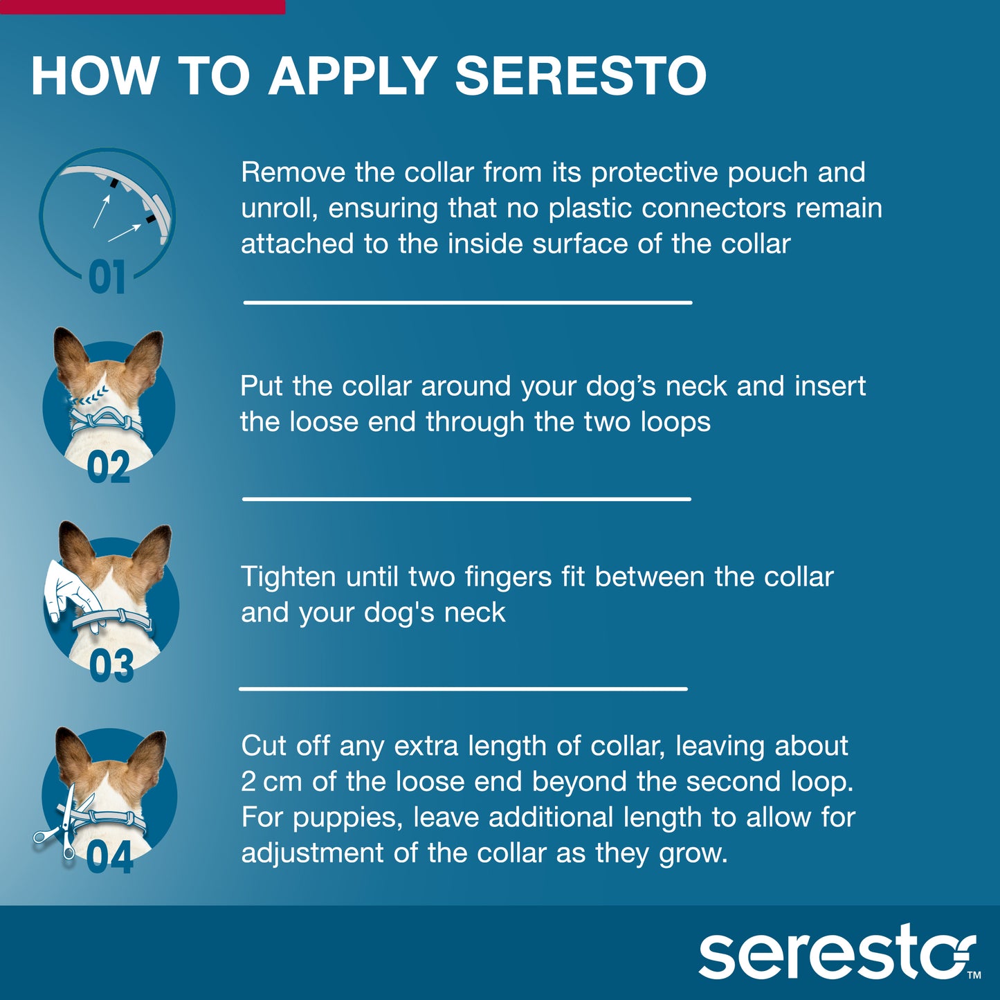 Seresto red collar for dogs, step-by-step usage instructions