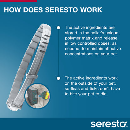Seresto large dog flea and tick collar product contents, collar and tin