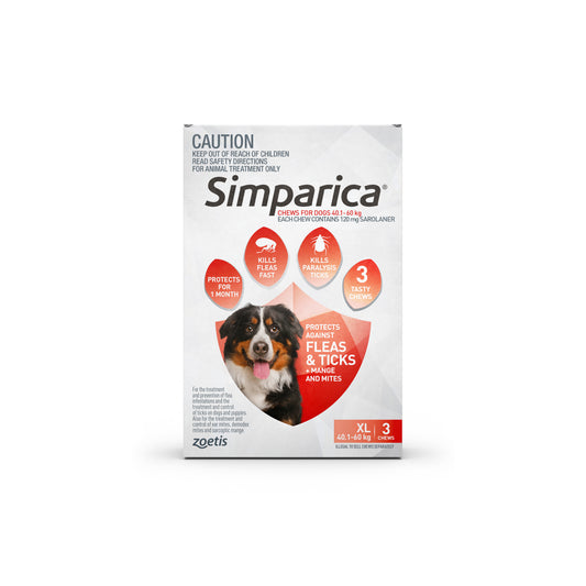 Simparica Chewables for XL dogs (40.1-60kg) with a Bernese Mountain Dog, protects against fleas and ticks.