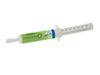 Virbac Strategy-T horse wormer paste in a white syringe with green and blue label featuring a horse head.